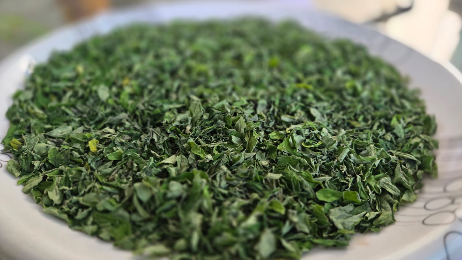 Moringa-Powder